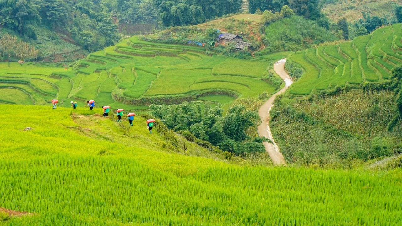 Sapa Fantasea Homestay المظهر الخارجي الصورة